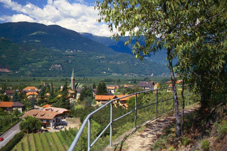 Wanderweg oberhalb von Gargazon