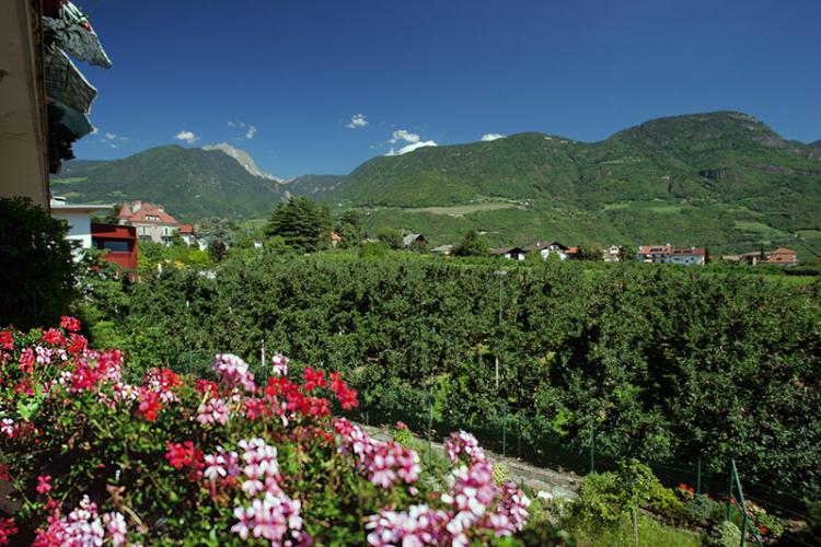 Balcony - apartment Meran