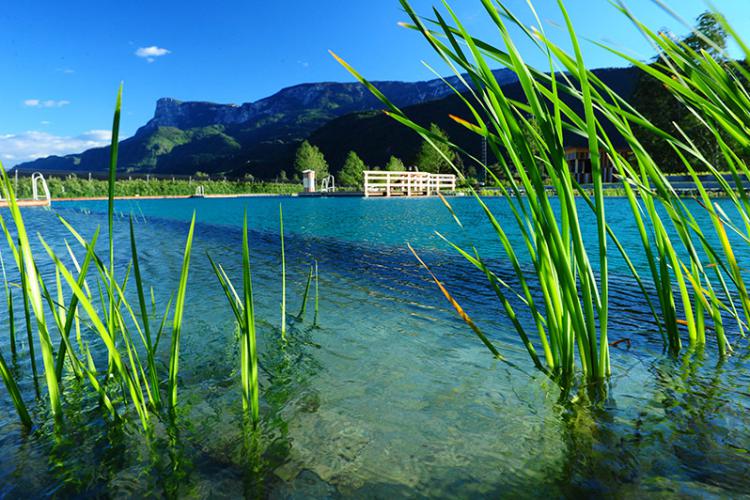 La piscina naturale di Gargazzone