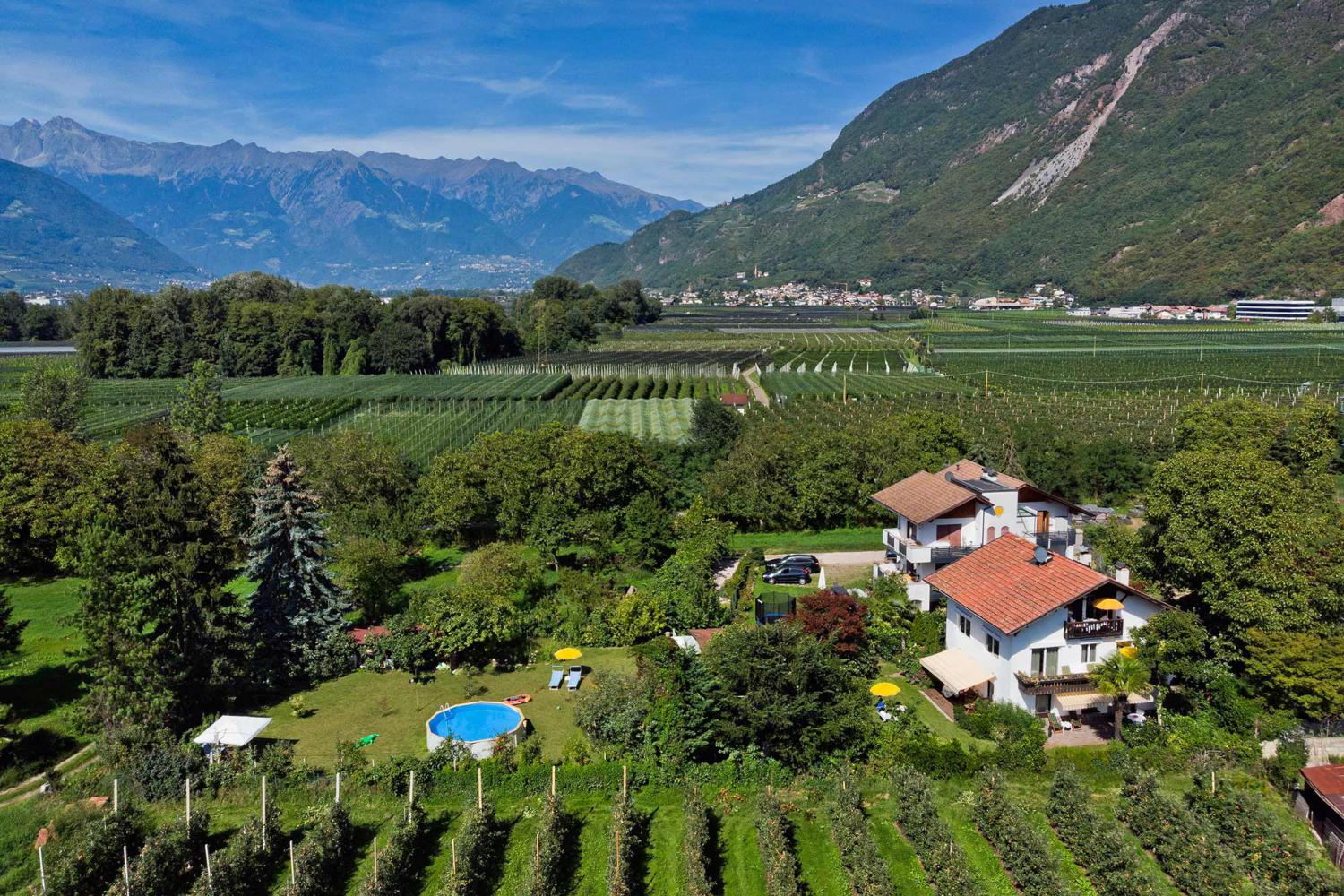 Inmitten von Apfelbäumen - Appartements Wiesengrund in Gargazon