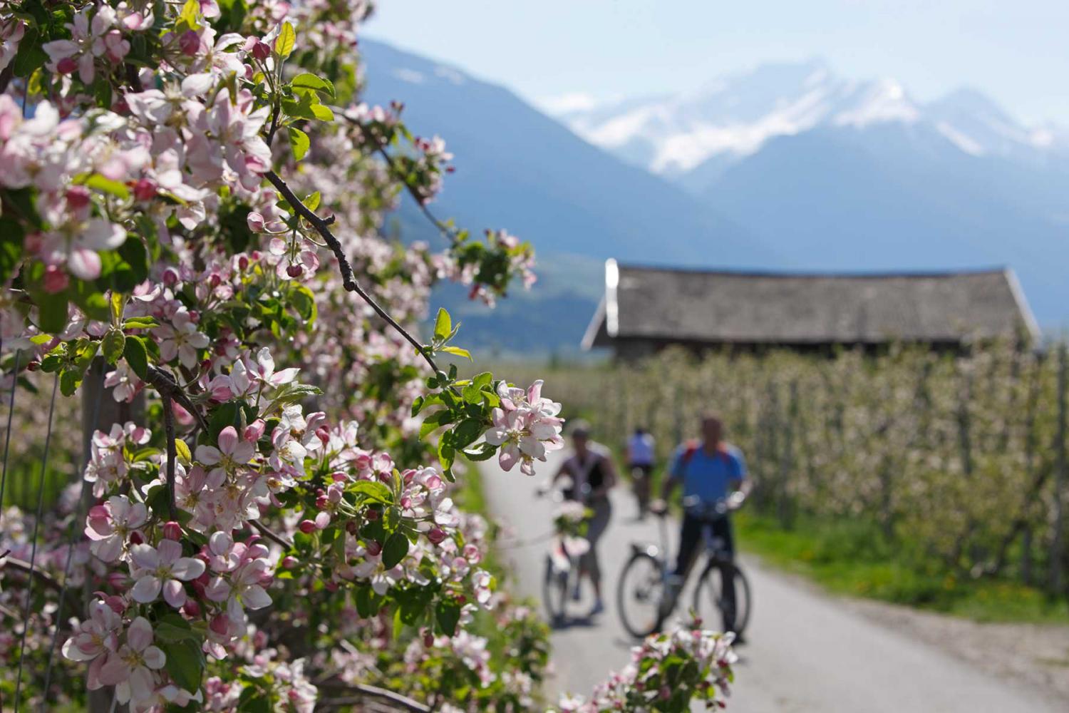 Bike path - via Claudia Augusta