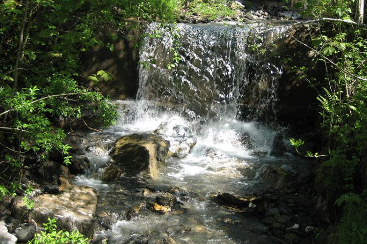 Kleiner Wildbach in Gargazon